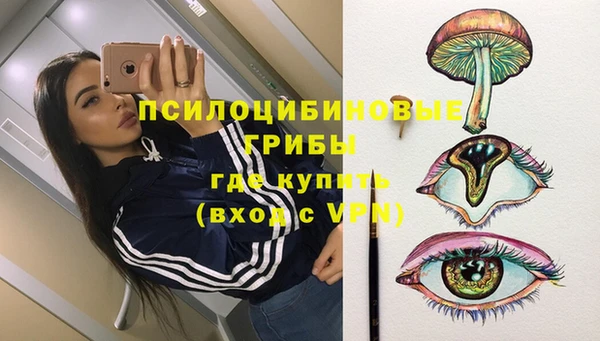 кристаллы Ельня