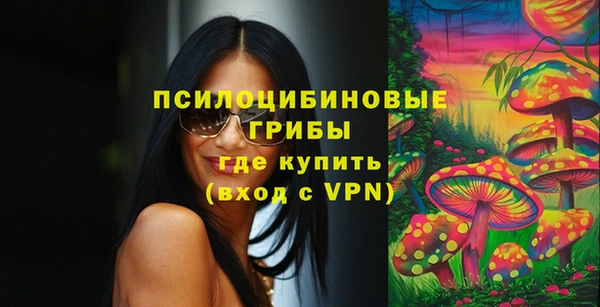 кристаллы Ельня