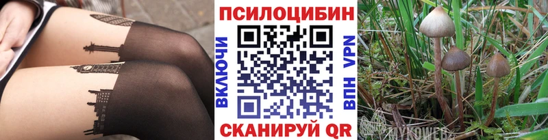 Псилоцибиновые грибы MAGIC MUSHROOMS  гидра ТОР  Ефремов 